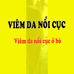Viêm da nổi cục
