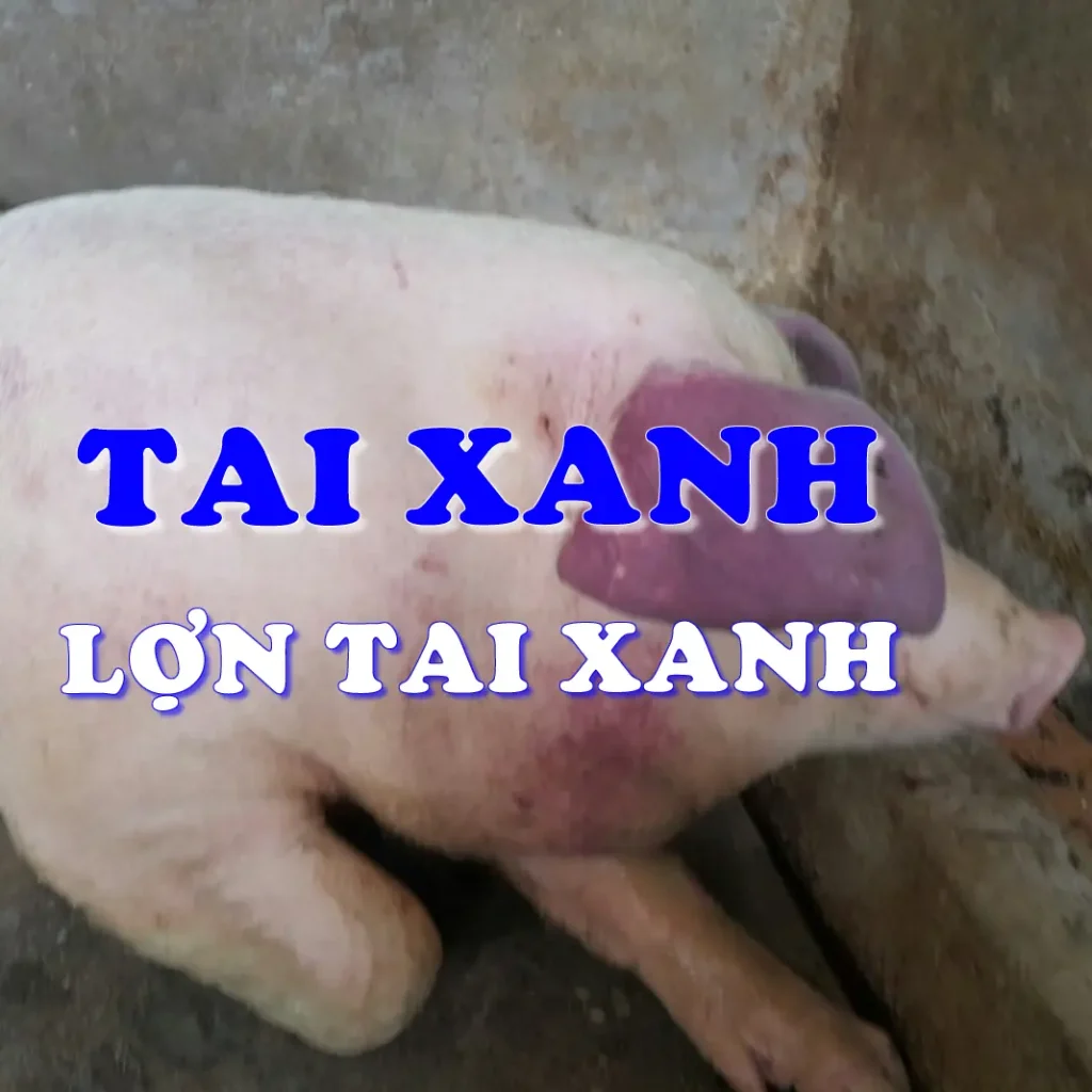 Tai xanh