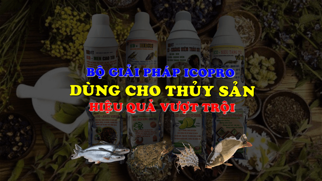 bộ giải pháp icopro dùng cho thủy sản