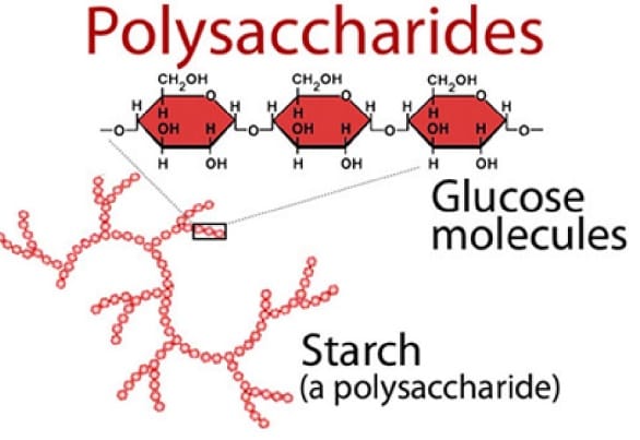 Polysaccharide