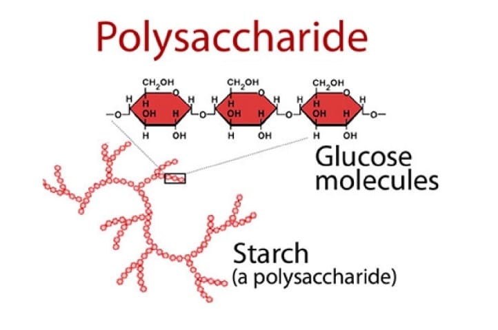 Polysaccharide