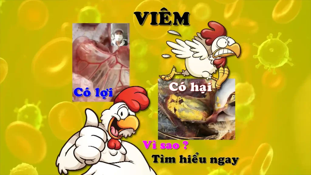 Viêm