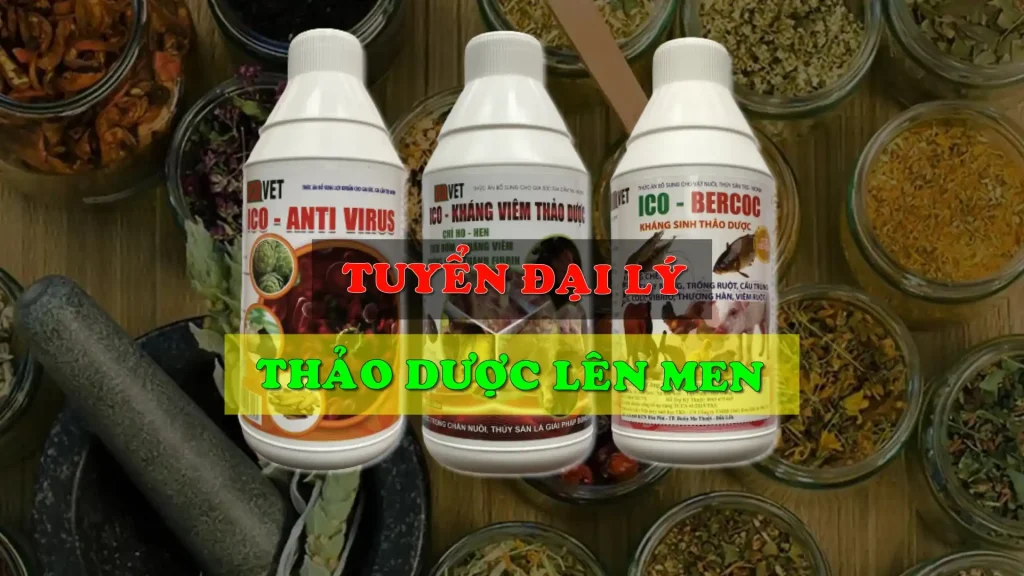 Tuyển đại lý thảo dược lên men