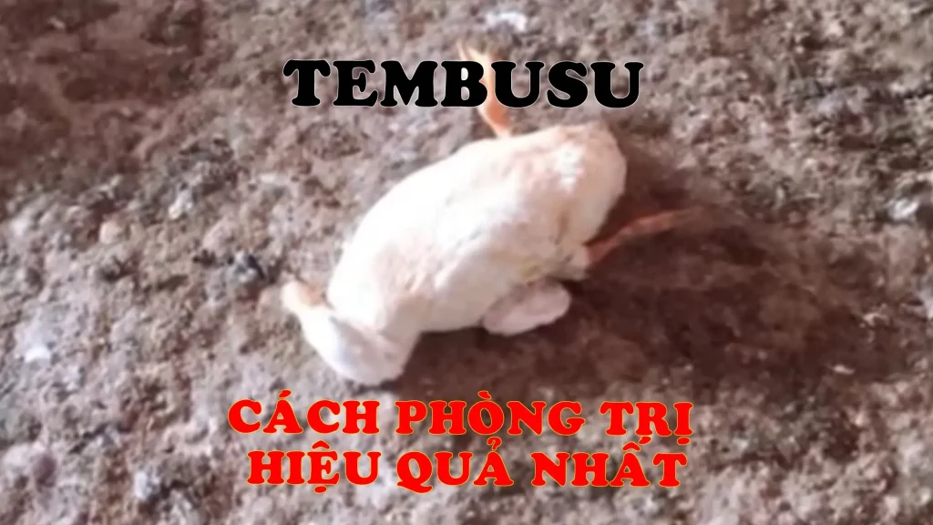 Tembusu