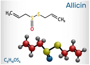 Công thức hóa học Allicin
