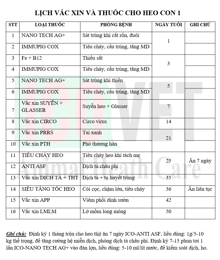Lịch tiêm vắc xin cho heo con