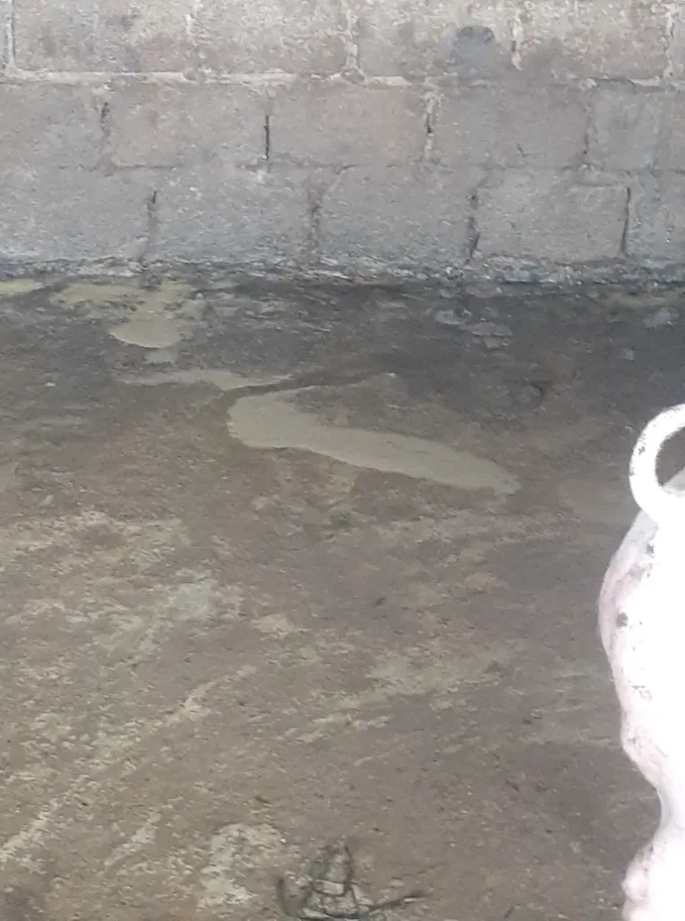 Lợn tiêu chảy do rồi loạn tiêu hóa