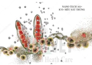 Nano bạc trị nấm