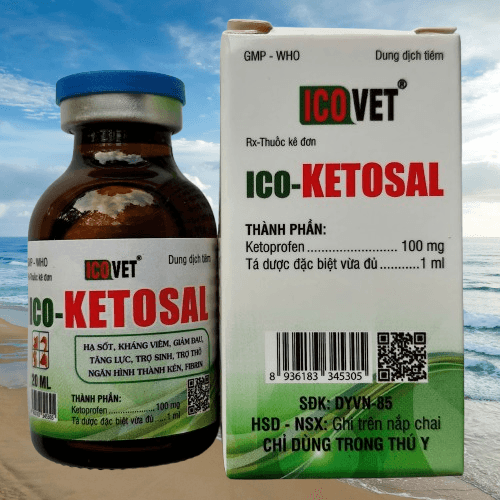 ICO-KETOSAL 20 ML