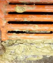 Phân heo bị cầu trùng có màu vàng kem, dính bết vào nền sàn