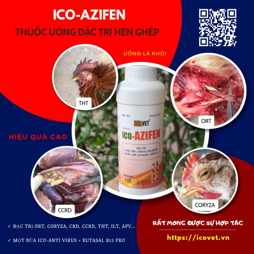 ICO-AZIFEN thuốc uống đặc trị bệnh hen gà