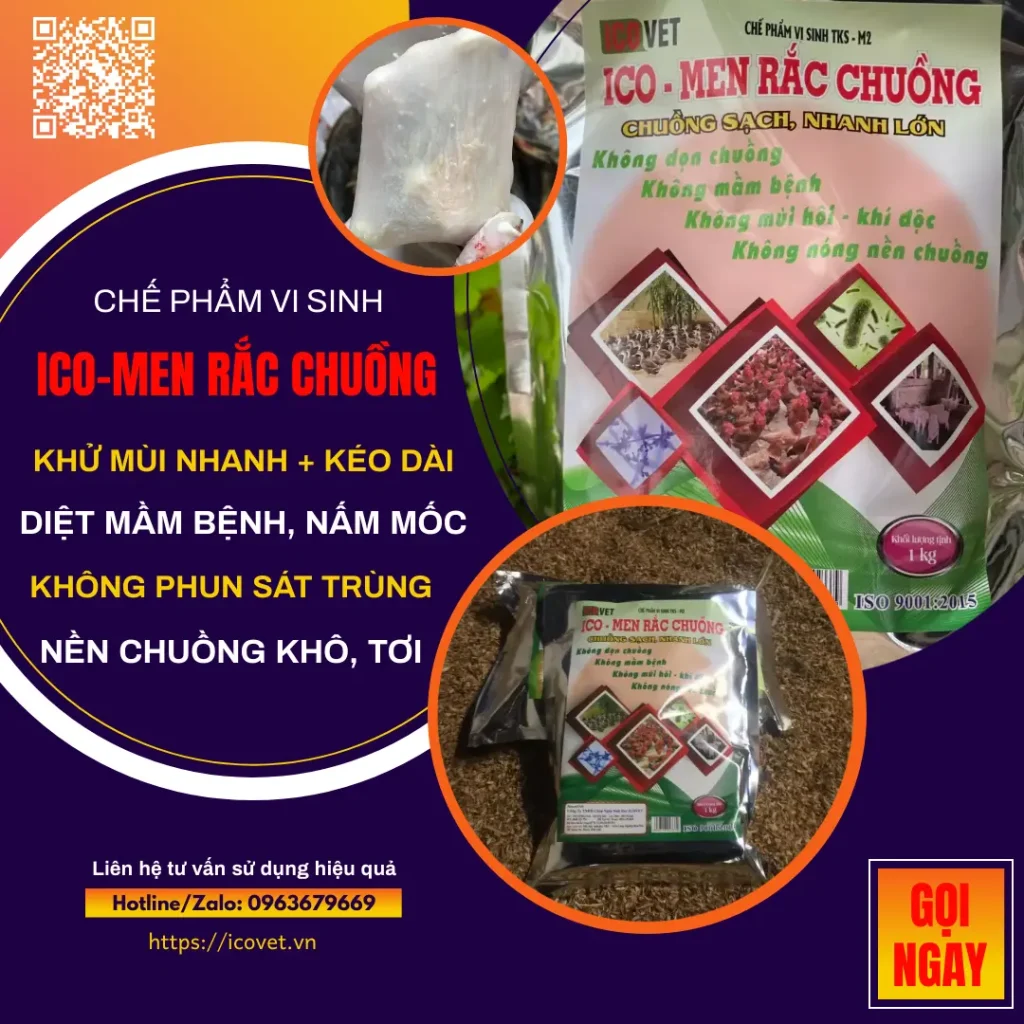 ICO-MEN RẮC CHUỒNG - Khử mùi hôi, khí độc, nấm mốc