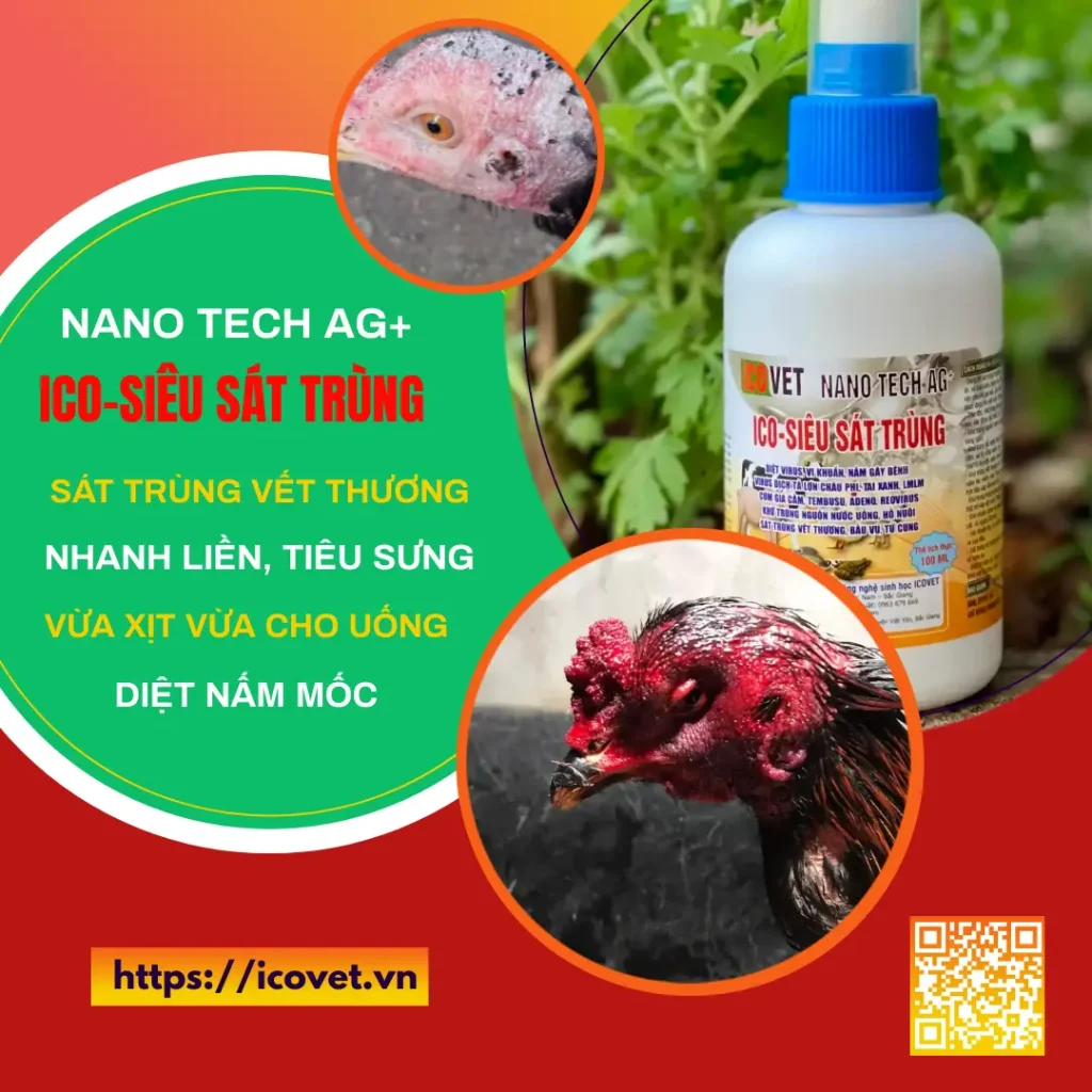 ICO-NANO TECH AG+ sát trùng vết thường, diệt nấm mốc