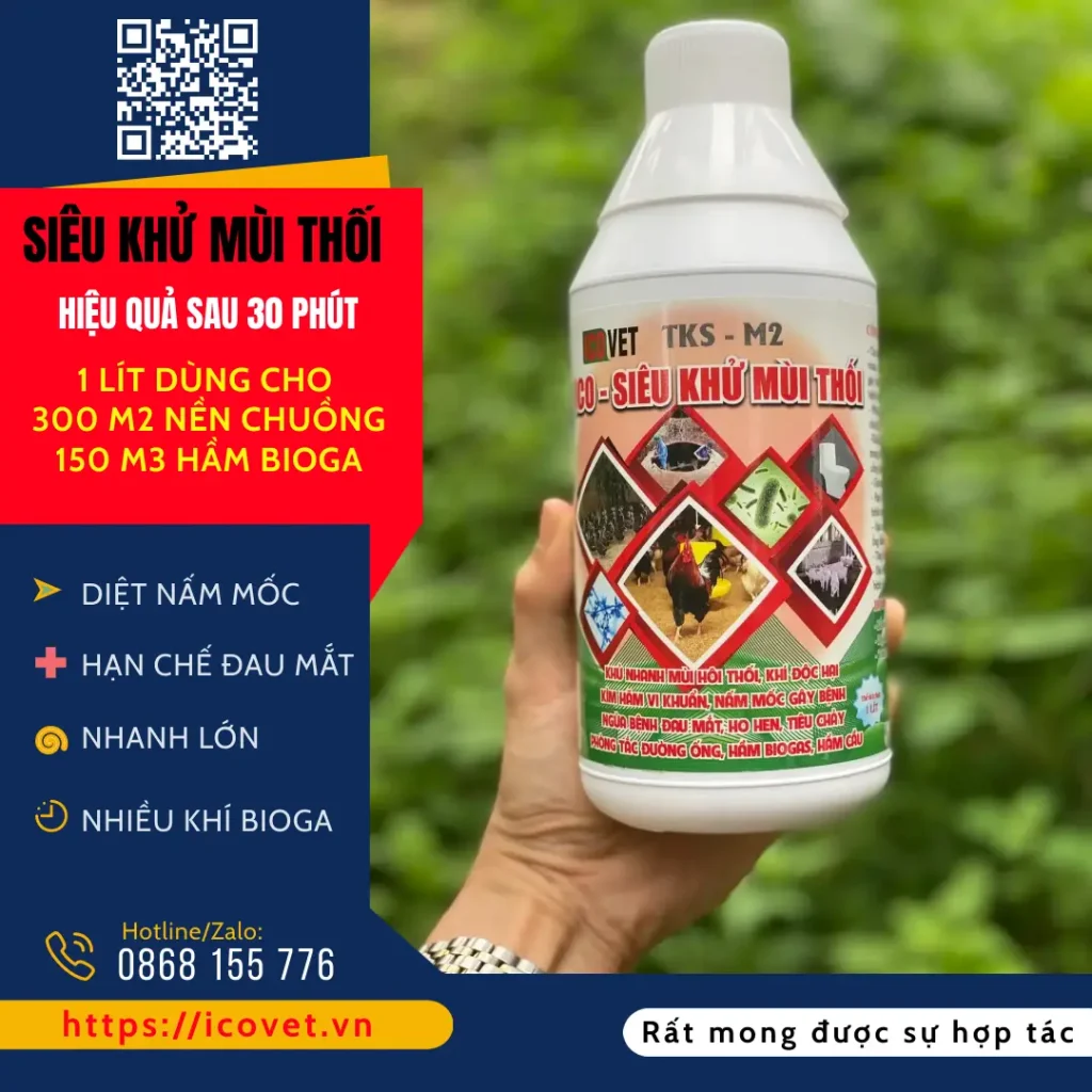 ICO-SIÊU KHỬ MÙI THÔI- Không gây nóng chất độn chuồng
