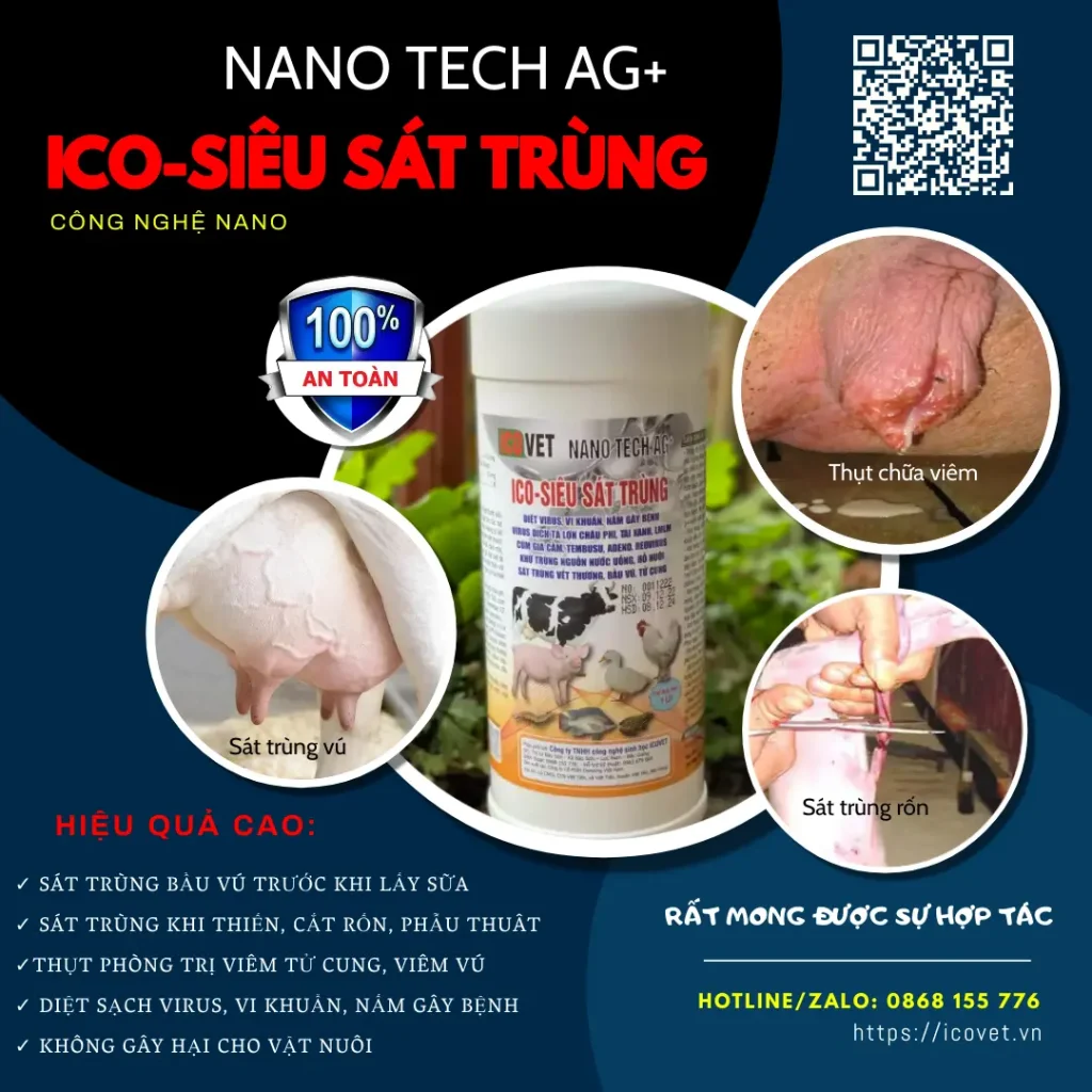 ICO-NANO TECH AG+ sát trùng