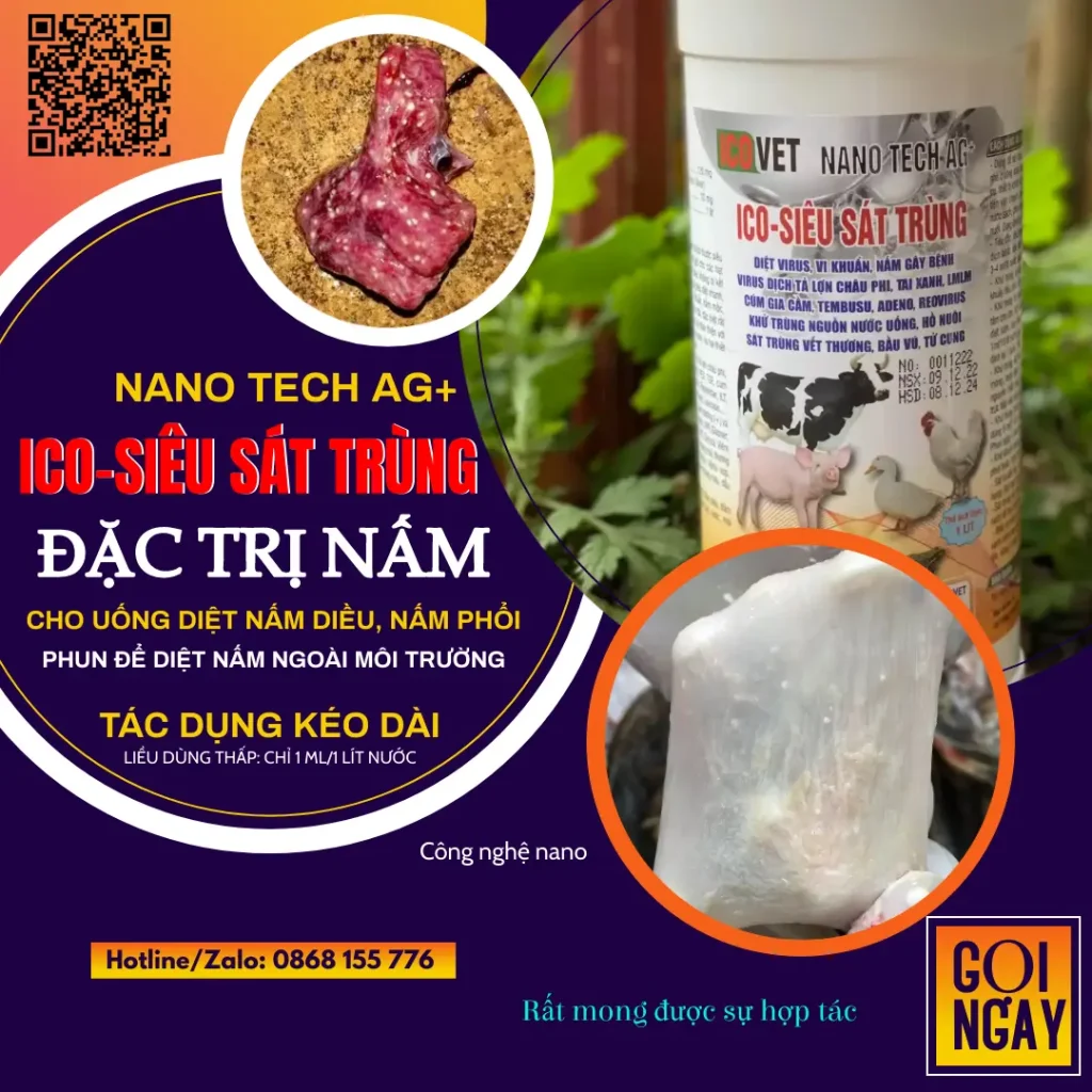ICO-NANO TECH AG+ trị nấm diều, nấm phổi