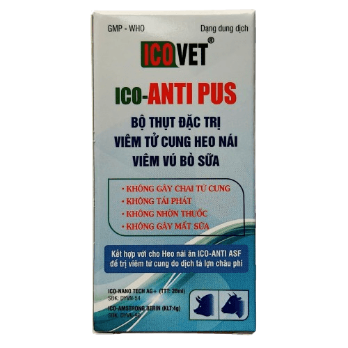 ICO-ANTI PUS - ĐẶC TRỊ VIÊM TỬ CUNG, VIÊM VÚ