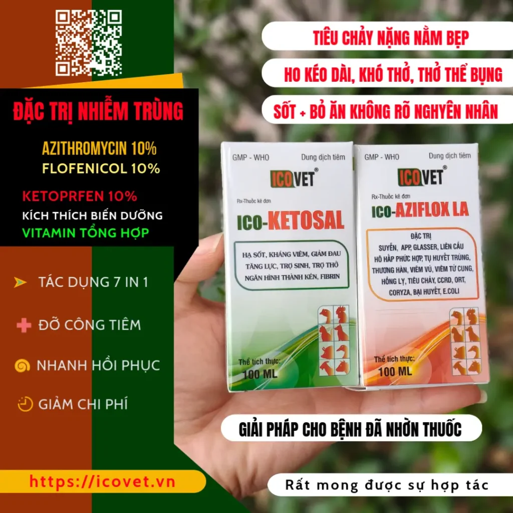 ICO-AZIFLOX LA & ICO-KETOSAL