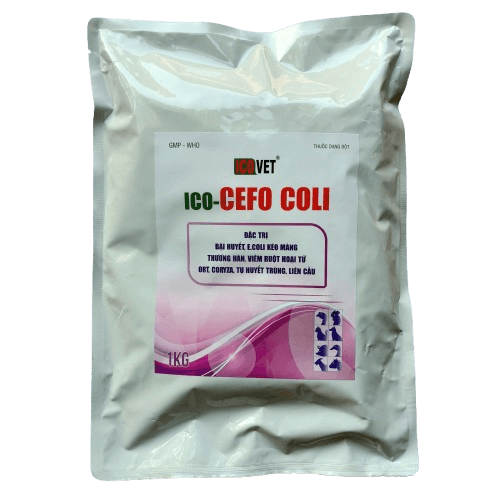 ICO-CEFO COLI