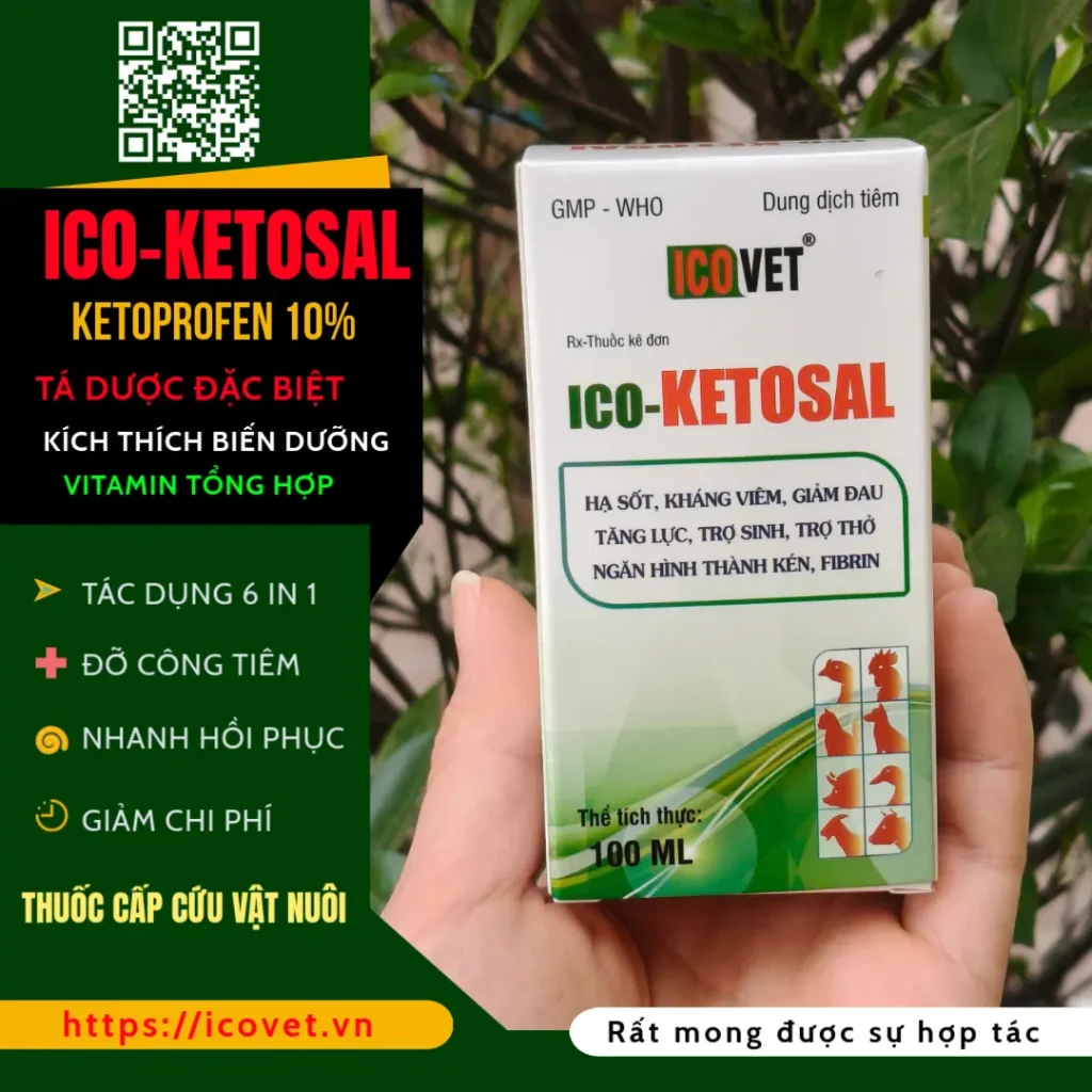 ICO-KETOSAL