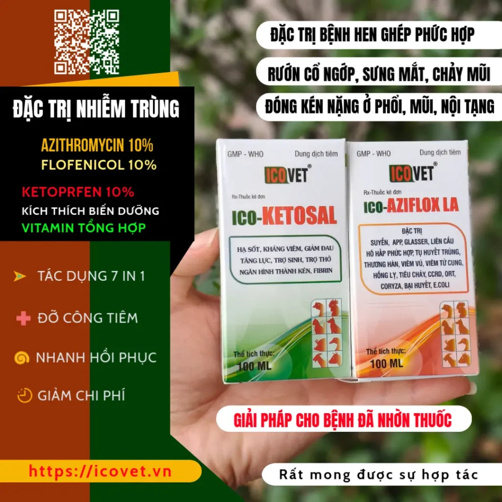 ICO-AZILOX LA KETOSAL gà vịt