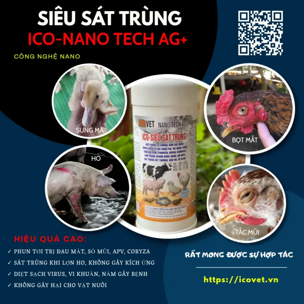 ICO-NANO TECH AG - phun tơi vào đàn vật nuôi giúp phòng trị bệnh ho, hen, đau mắt, sổ mũi hiệu quả cao