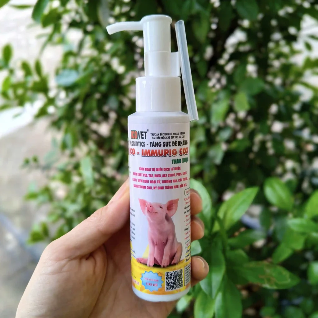 ICO-IMMUPIG COX - Đặt trị tiêu chảy, cầu trùng heo