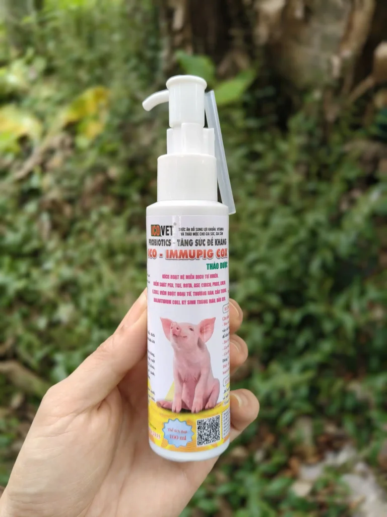 ICO-IMMUPIG COX - Thuốc đặc trị cầu trùng heo