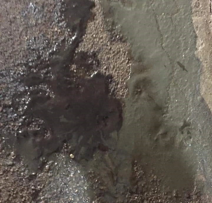 Lợn tiêu chảy phân bùn