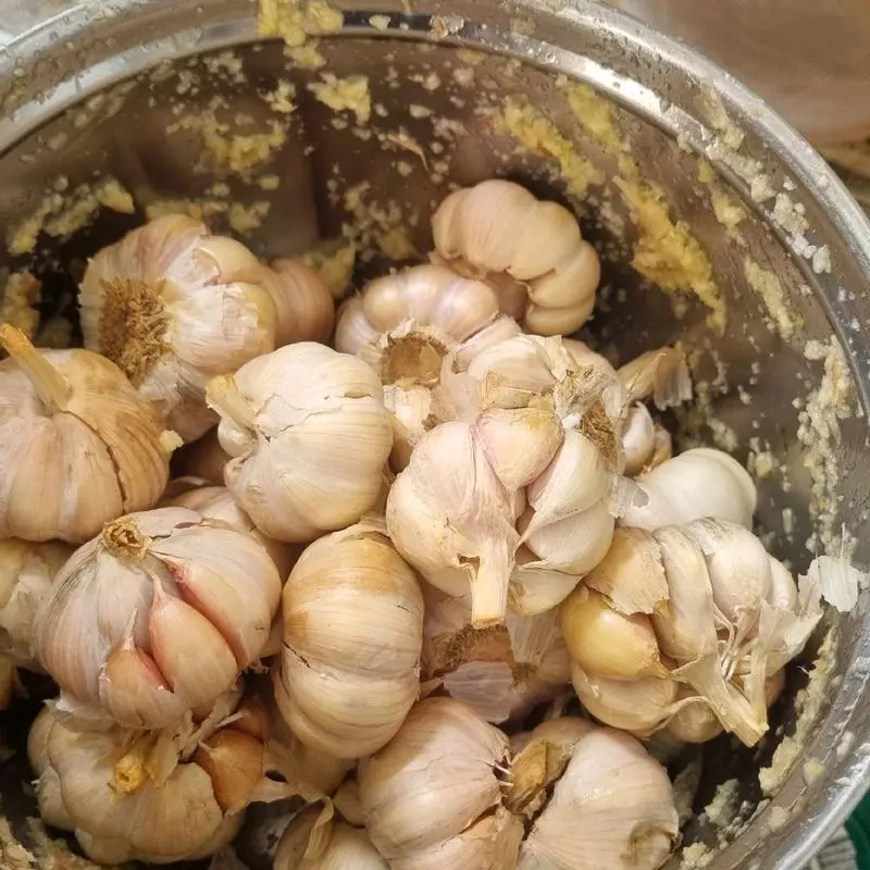 Say tỏi trước khi ủ men