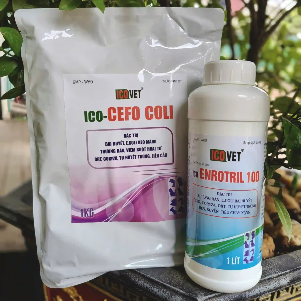 Bộ đôi đặc trị hen ghép tụ huyết trùng thương hàn ICO-CEFO COLI ENROTRIL 100