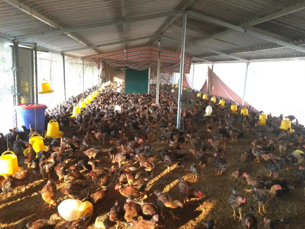 Chính sách hỗ trợ