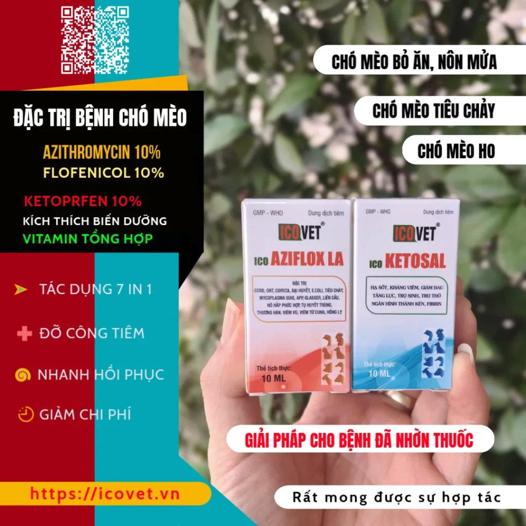 Thuốc kháng sinh cho chó mèo