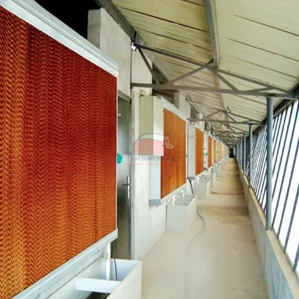 Hệ thống dàn mát chuồng gà