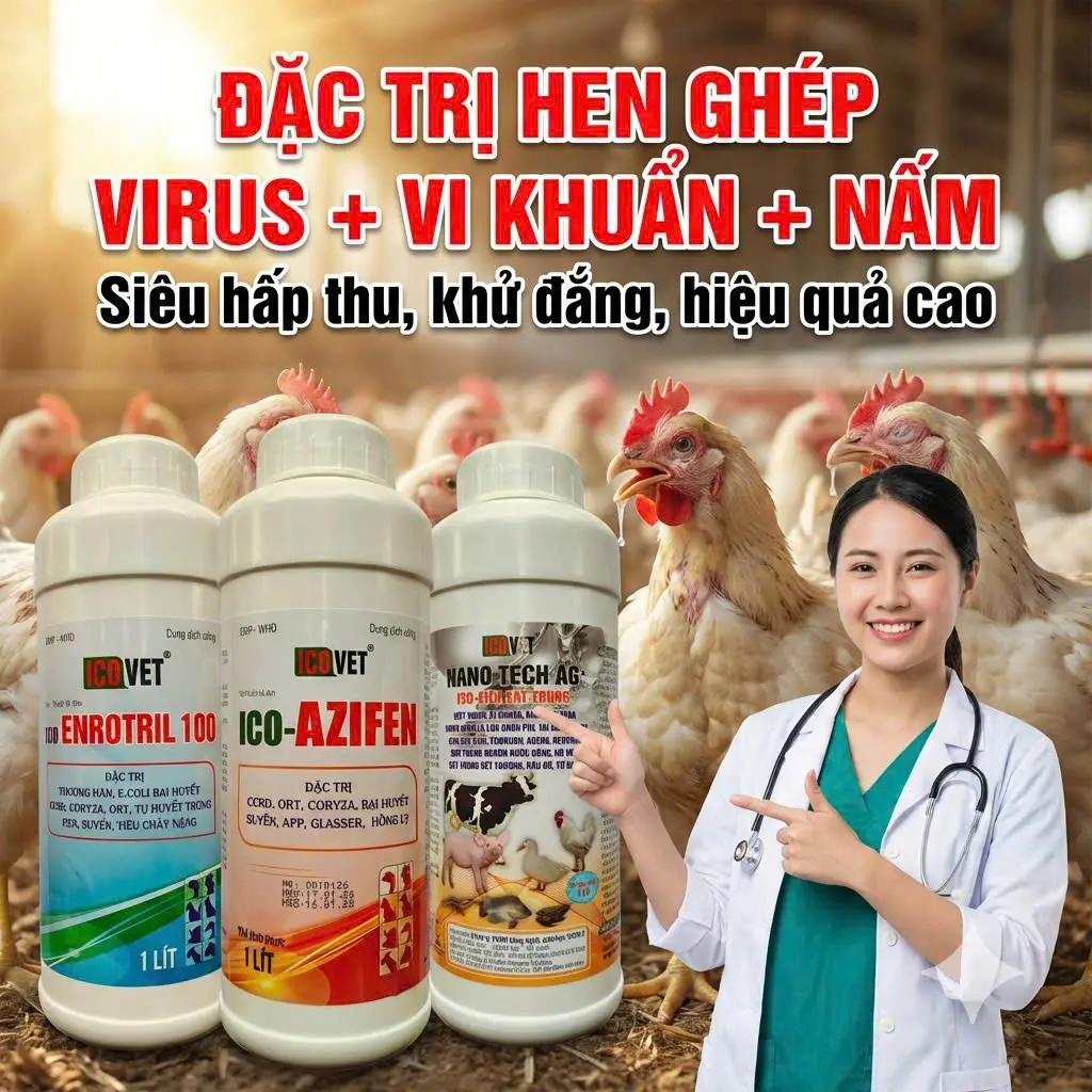 ICO-ENROTRIL 100 AZIFEN NANO TECH AG - Đặc trị hen ghép virus, vi khuẩn, nấm