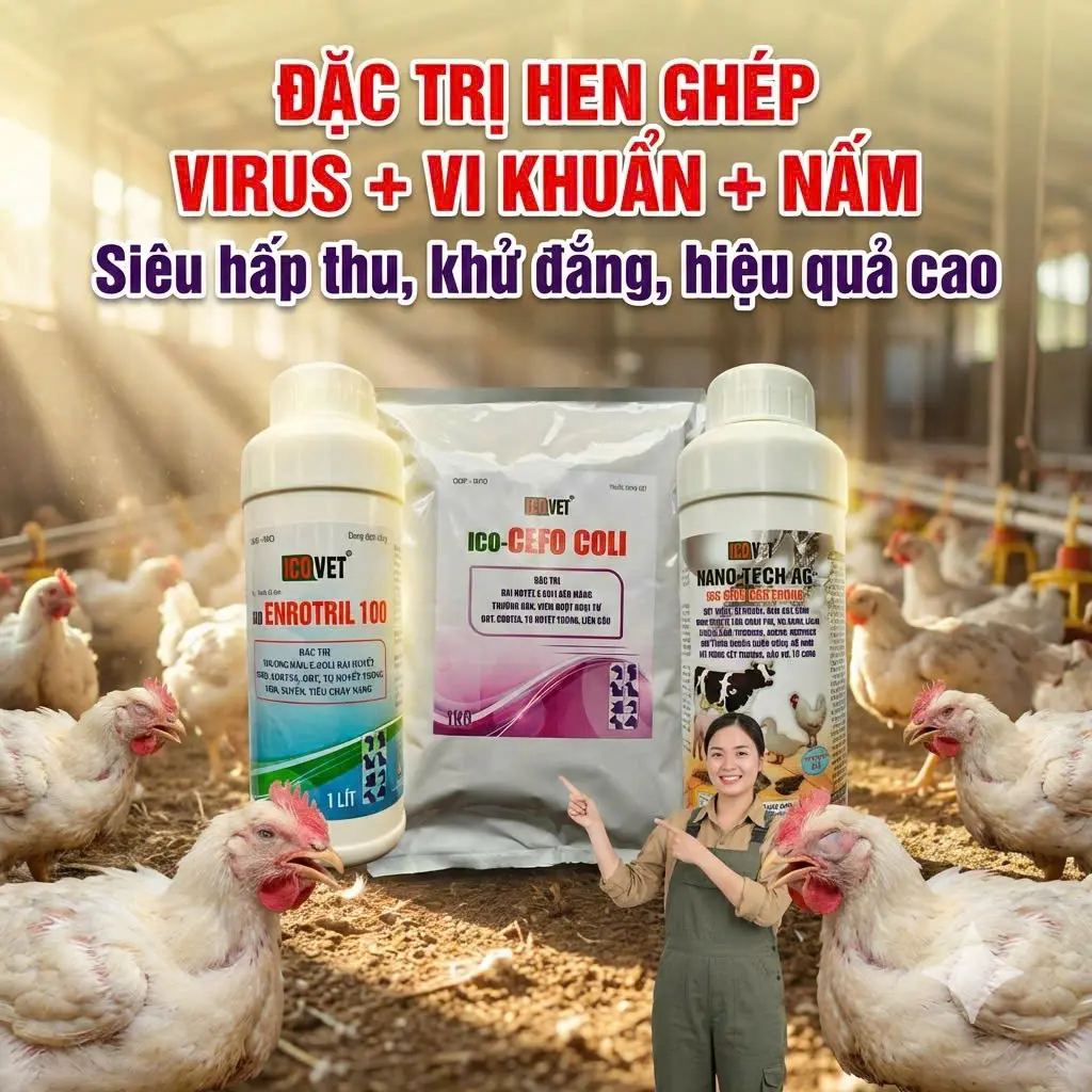 ICO-ENROTRIL 100 CEFO COLI NANO TECH AG - Đặc trị hen ghép virus, vi khuẩn, nấm