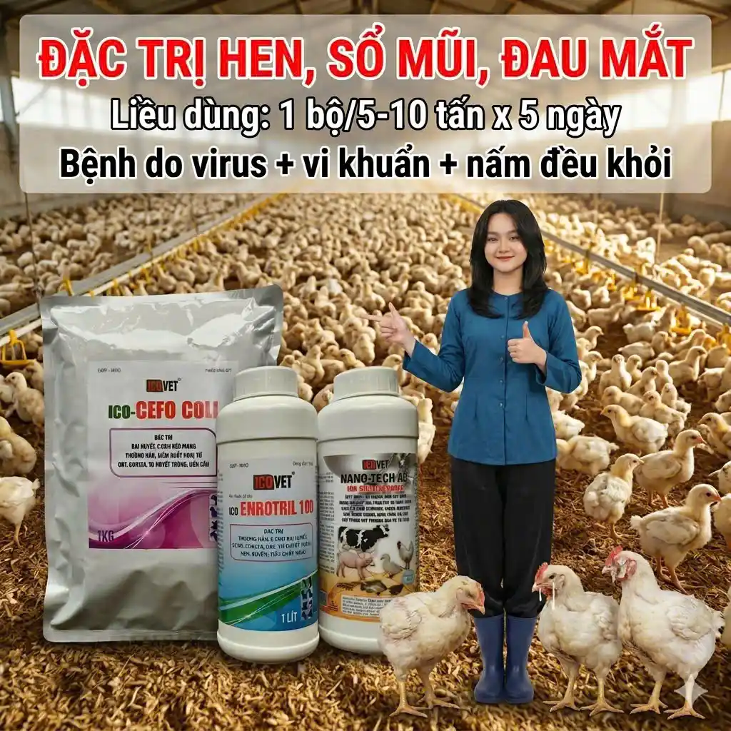 ICO-ENROTRIL 100 CEFO COLI NANO TECH AG+ Đặc trị hen, sổ mũi, đau mắt, công thức chống kháng thuốc