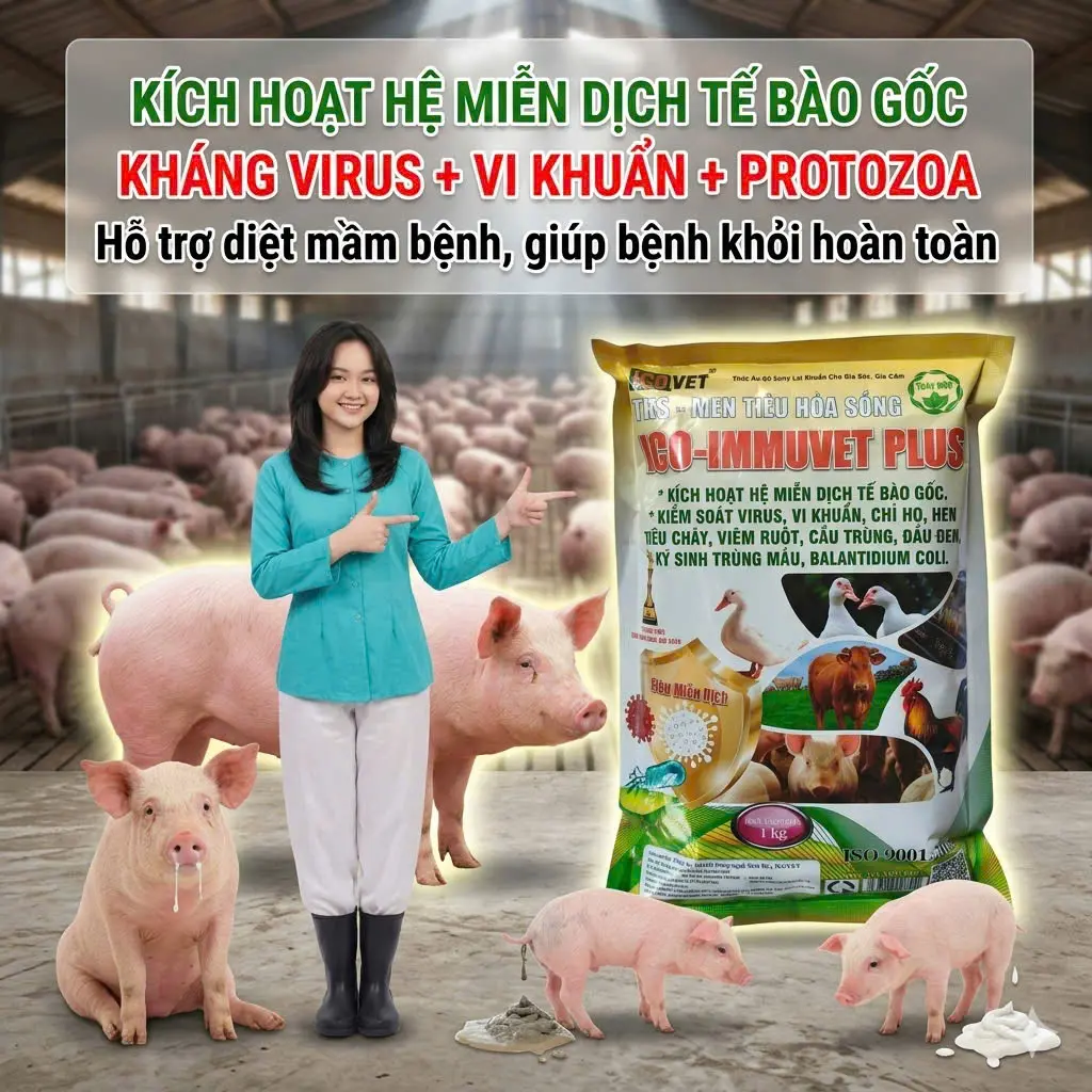 ICO-IMMUVET PLUS - Hỗ trợ giúp trị bệnh khỏi hoàn toàn