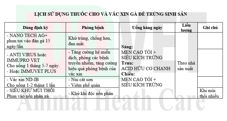 Lịch thuốc và vắc xin cho đẻ pro